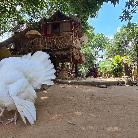 Humbhaha Jungle Yala Nature Eco Resort Kataragama Bagian luar foto
