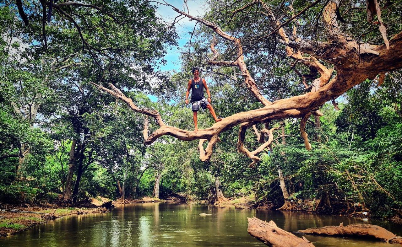 Humbhaha Jungle Yala Nature Eco Resort Kataragama Bagian luar foto