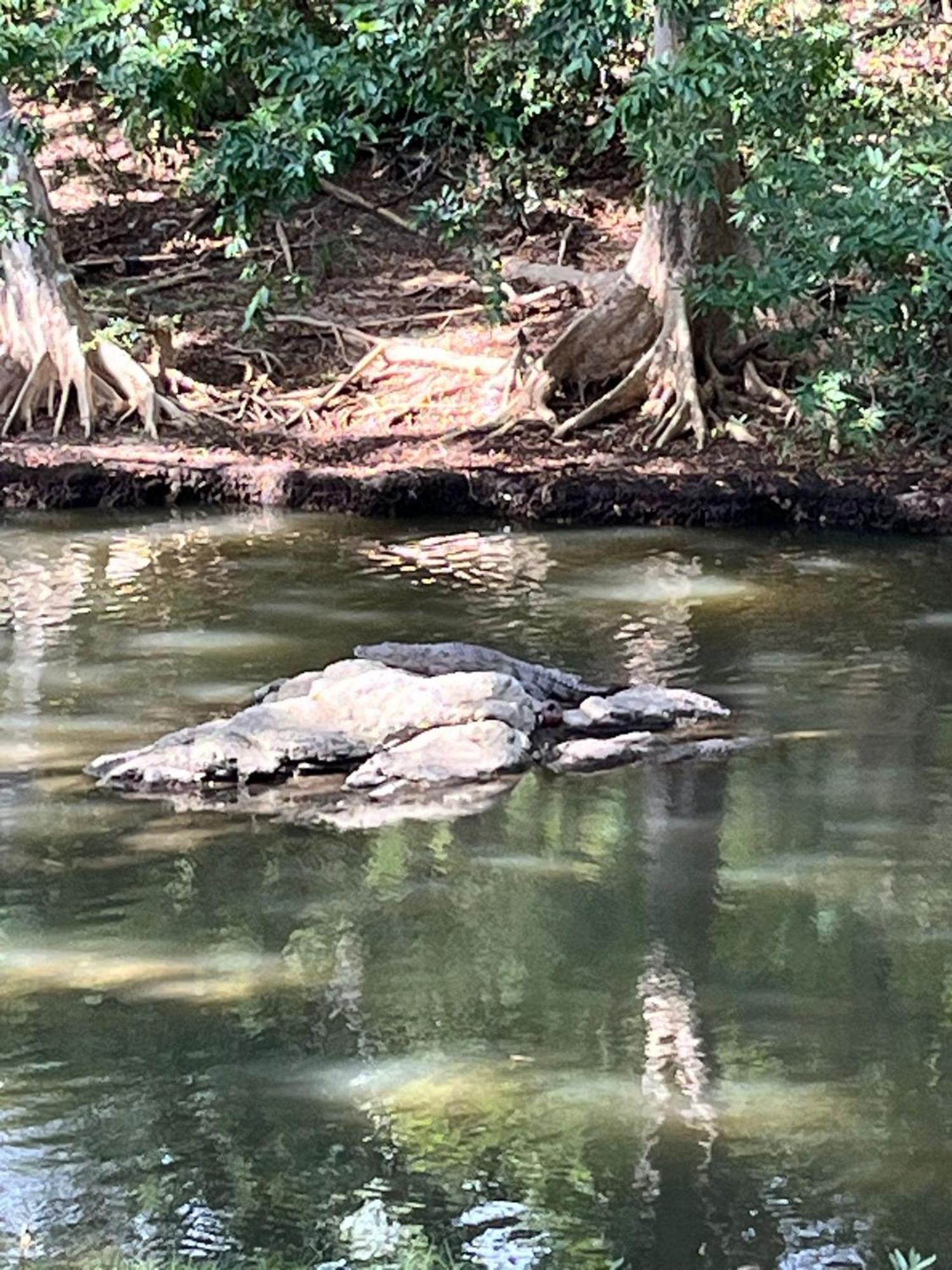 Humbhaha Jungle Yala Nature Eco Resort Kataragama Bagian luar foto