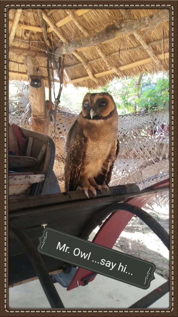 Humbhaha Jungle Yala Nature Eco Resort Kataragama Bagian luar foto