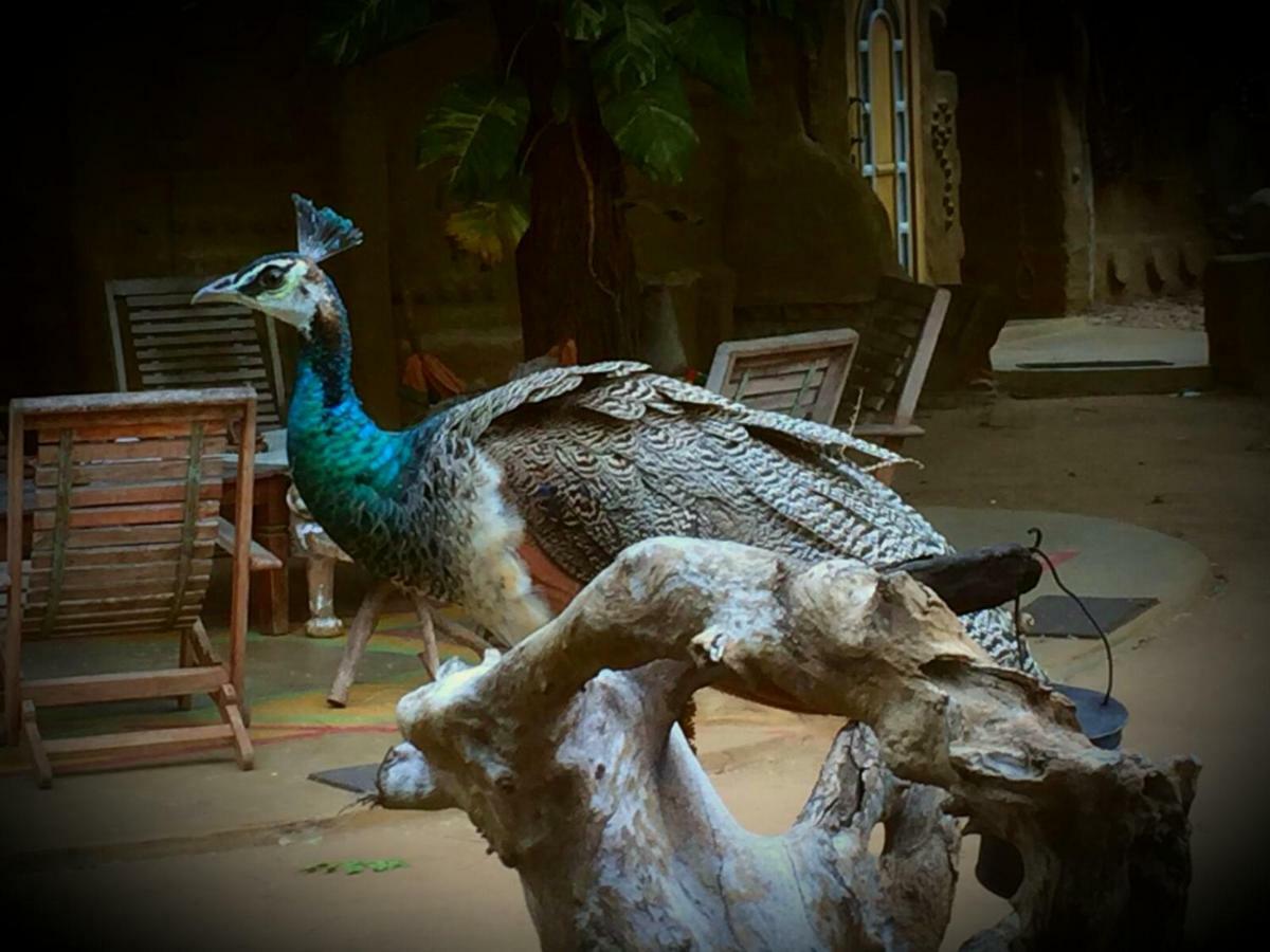 Humbhaha Jungle Yala Nature Eco Resort Kataragama Bagian luar foto